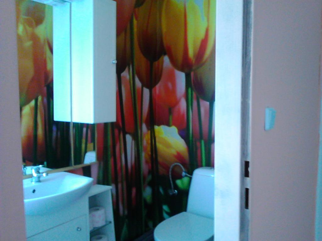 Jiretinska Chaloupka Apartman Jiřetín pod Jedlovou Kültér fotó